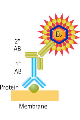 ScanLater: Anti-Mouse Kit