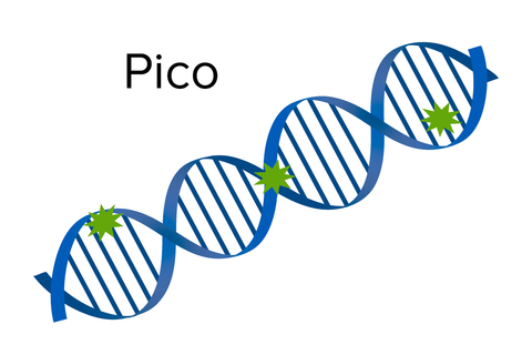 SpectraMax® Quant™ AccuBlue™ Pico dsDNA Assay Kit