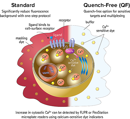 FLIPR® Calcium 4 Assay Kits